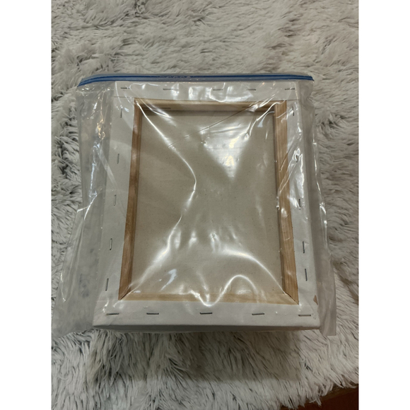 Super Value 8x10 Stretched Canvas 10 Pack Triple Primed White Art Supplies - Picture 6 of 8